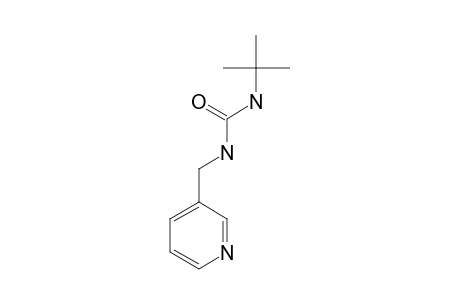 1-tert-butyl-3-[(3-pyridyl)methyl]urea