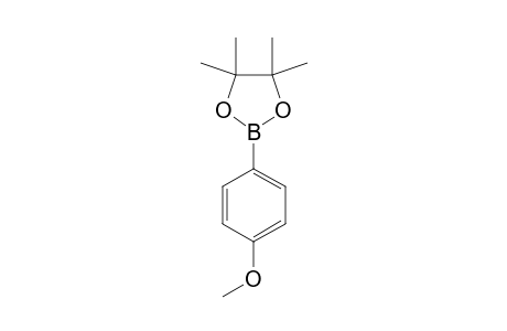 (4,4,5,5-TETRAMETHYL-1,3,2-DIOXABOROLAN-2-YL)-ANISOLE