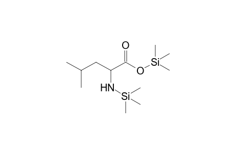 Leucine 2TMS