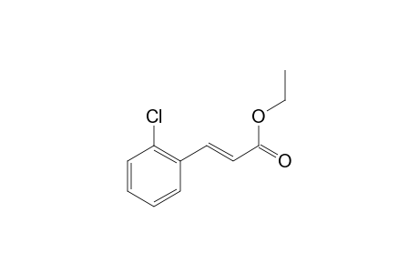 (E)-Ethyl 3-(2-chlorophenyl)acrylate