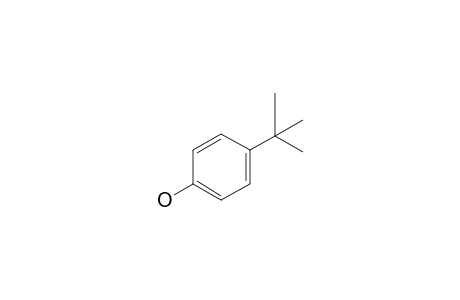 4-Tert-butylphenol