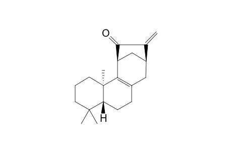 Jungermannenone B