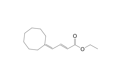 Ethyl (2E)-4-cyclooctylidene-but-2-enoate