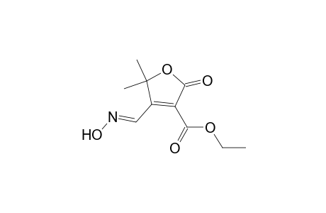 4-[(E)-hydroximinomethyl]-2-keto-5,5-dimethyl-furan-3-carboxylic acid ethyl ester