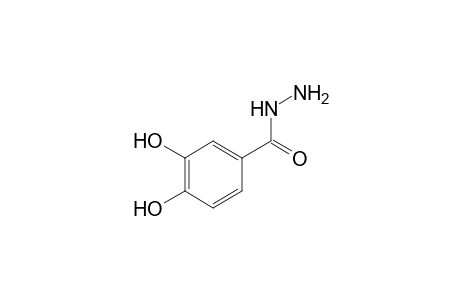 protocatechuic acid, hydrazide