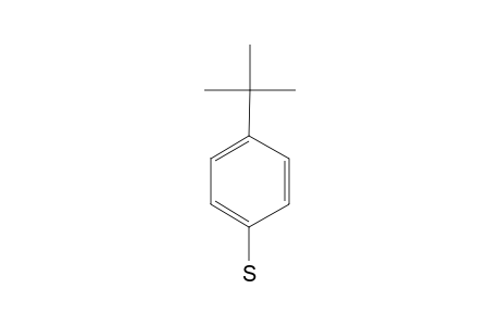 4-tert-Butylthiophenol