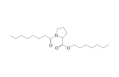 L-Proline, N-(octanoyl)-, heptyl ester