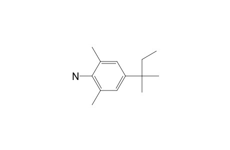 Benzenamine, 4-(1,1-dimethylpropyl)-2,6-dimethyl-