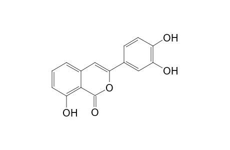 Thunberginol A