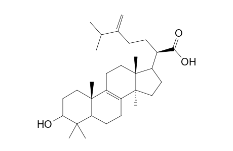 Eburicoic acid