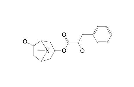 6-Hydroxylittorine