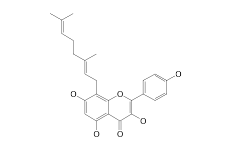 TOMENTOSANOL-C;8-GERANYL-KAEMPHEROL