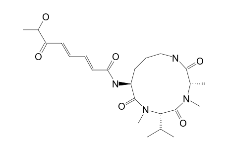 SCLEROTIOTIDE_G;(2-E,4-E)-CYCLO-[(N-ME-L-ALA)-(N-ME-L-VAL)-(N-ALPHA-7-HYDROXY-6-OXOOCTA-2,4-DIENOYL-L-ORN)]