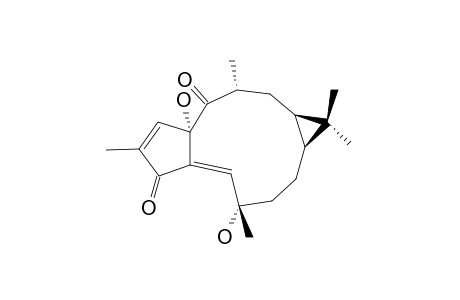 15-EPI-4Z-JATROGROSSIDENTADION