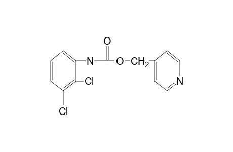 2,3-dichlorocarbanilic acid, (4-pyridyl)methyl ester