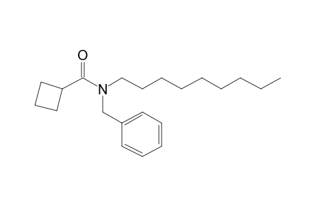 Cyclobutanecarboxamide, N-benzyl-N-nonyl-