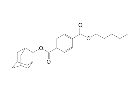 Terephthalic acid, 2-adamantyl pentyl ester