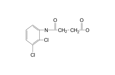 2',3'-dichlorosuccinanilic acid