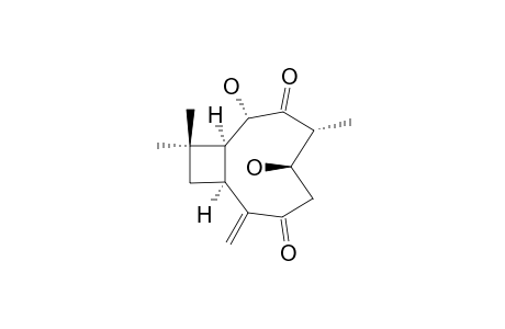 HEBELOPHILLENE-C