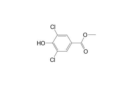 3,5-dichloro-4-hydroxy-benzoic acid methyl ester