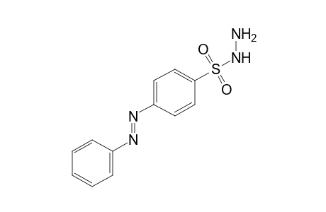p-(phenylazo)benzenesulfonic acid, hydrazide
