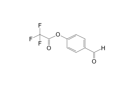 (4-formylphenyl) 2,2,2-trifluoroacetate