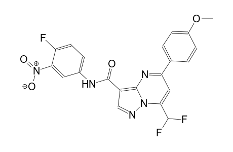 7-(difluoromethyl)-N-(4-fluoro-3-nitrophenyl)-5-(4-methoxyphenyl)pyrazolo[1,5-a]pyrimidine-3-carboxamide