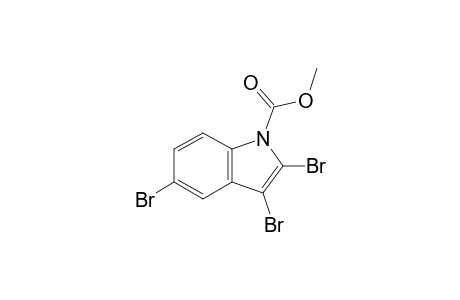 2,3,5-TRIBROMO-1-CARBOMETHOXYINDOLE