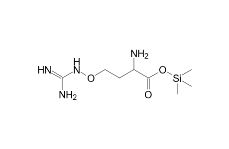 canavanine, 1TMS