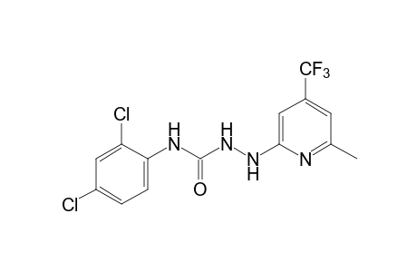 4-(2,4-dichlorophenyl)-1-[6-methyl-4-(trifluoromethyl)-2-pyridyl]semicarbazide