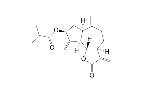 Zaluzanin C isobutyrate
