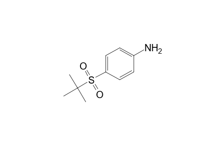 p-(tert-BUTYLSULFONYL)ANILINE