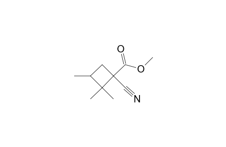 1-Cyano-2,2,3-trimethyl-cyclobutan-carbonsaeure-methylester, (#12A)