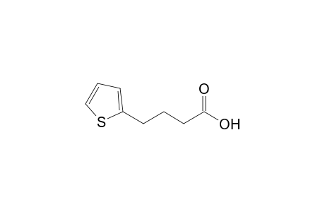 2-Thiophenebutyric acid