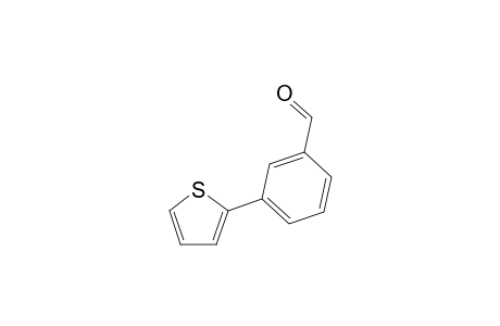 3-(2-Thienyl)benzaldehyde