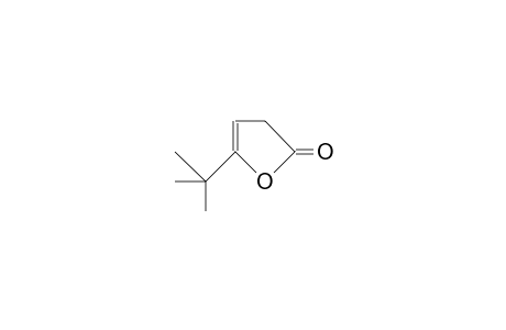 5-tert-BUTYL-2(3H)-FURANONE