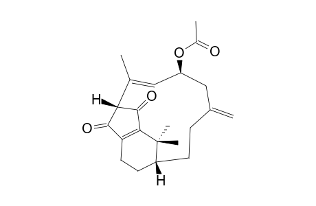 CESPITULARIN_K