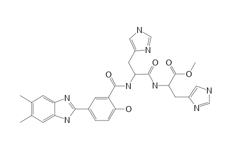 5-(5,6-Dimethyl-1H-benzo[D]imidazol-2-yl)-2-hydroxybenzoyl his-his-dev