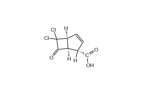 6,6-dichloro-7-oxobicyclo[3.2.0]hept-3-ene-2 alpha-carboxylic acid