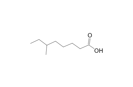 6-Methyloctanoic acid