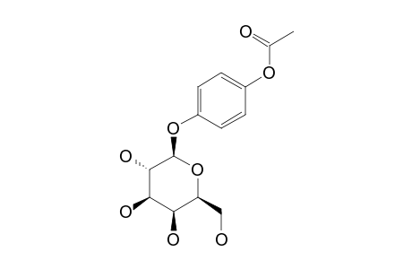 1-ACETYLHYDROQUINONE-4-GALACTOPYRANOSIDE