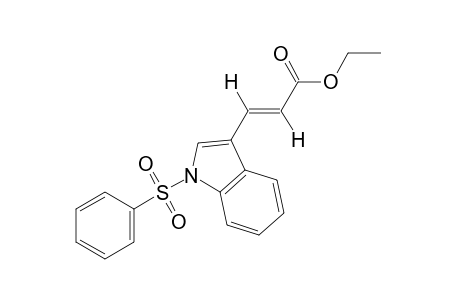 trans-1-(phenylsulfonyl)indole-3-acrylic acid, ethyl ester
