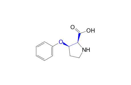 cis-3-phenoxyproline (racemic)