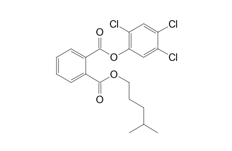 Phthalic acid, isohexyl 2,4,5-trichlorophenyl ester