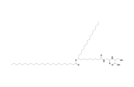 NAGlySer 24:0/24:0