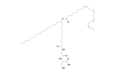 NAGlySer 20:4/24:0