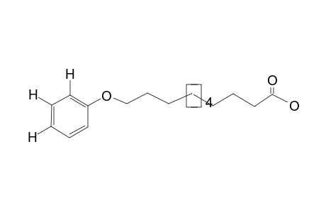 11-Phenoxyundecanoic acid