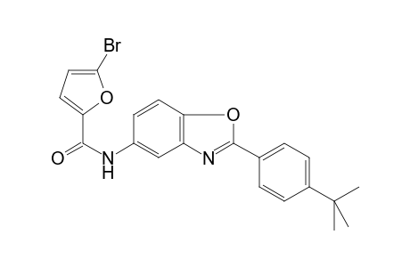 5-Bromanyl-N-[2-(4-tert-butylphenyl)-1,3-benzoxazol-5-yl]furan-2-carboxamide