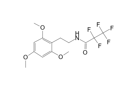 2,4,6-Trimethoxyphenethylamine PFP