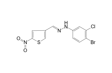 5-nitro-3-thiophenecarboxaldehyde, (4-bromo-3-chlorophenyl)hydrazone